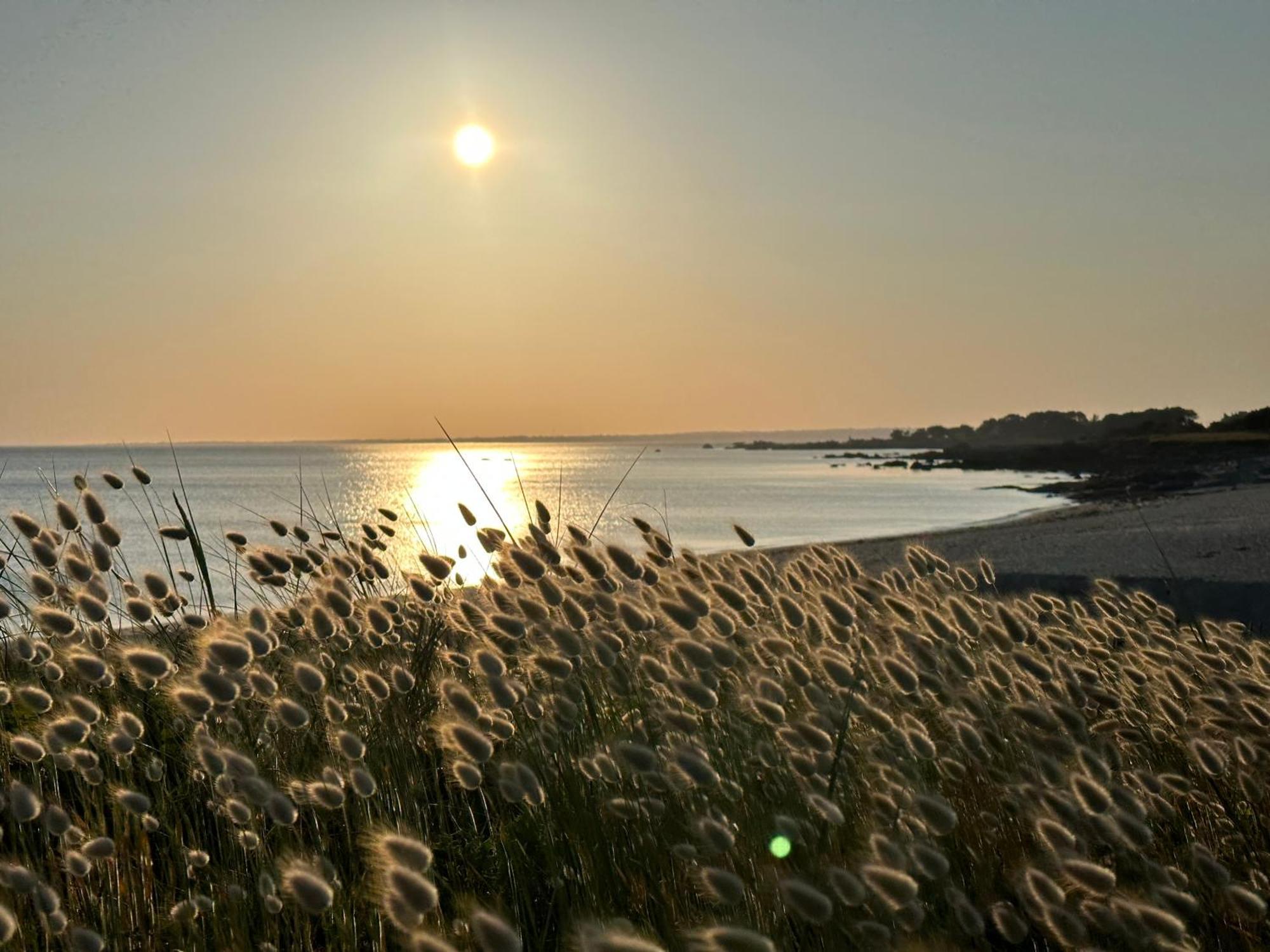 Les Suites De Bougainville Concarneau Exterior foto